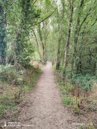 Miniature photo_23_1463