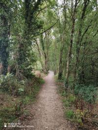 Miniature photo_23_1462
