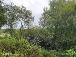 Miniature photo_23_1459
