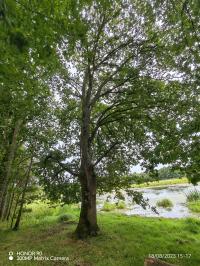 Miniature photo_23_1432