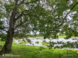 Miniature photo_23_1431