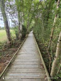 Miniature photo_23_1428