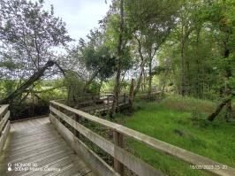 Miniature photo_23_1420