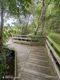 Miniature photo_23_1418