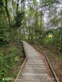 Miniature photo_23_1416