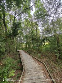 Miniature photo_23_1415