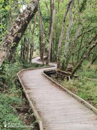 Miniature photo_23_1414