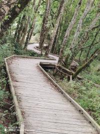 Miniature photo_23_1413