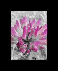 Miniature photo_23_1410
