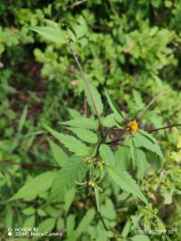 Miniature photo_23_1406