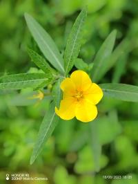 Miniature photo_23_1404