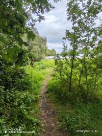Miniature photo_23_1398