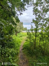 Miniature photo_23_1397