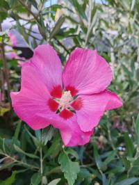 Miniature photo_23_1383
