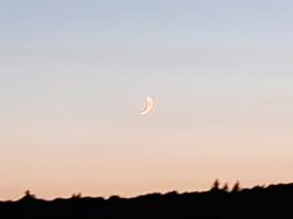 Miniature photo_23_1359