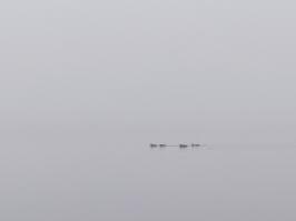 Miniature photo_23_1339