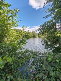 Miniature photo_23_1312