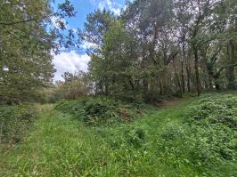 Miniature photo_23_1301