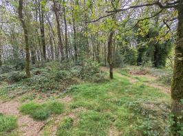 Miniature photo_23_1297