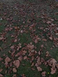 Miniature photo_aou_25_3