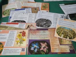 Miniature photo_dec_25_74
