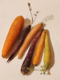 Miniature photo_fev_25_2644