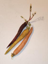 Miniature photo_fev_25_2632