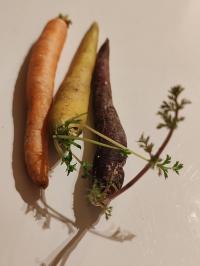 Miniature photo_fev_25_2627