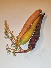 Miniature photo_fev_25_2625