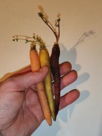 Miniature photo_fev_25_2621