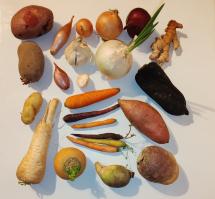 Miniature photo_fev_25_2587