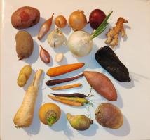 Miniature photo_fev_25_2581