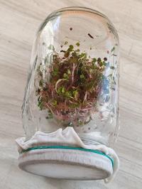 Miniature photo_fev_25_2535