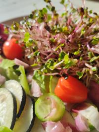 Miniature photo_fev_25_2494