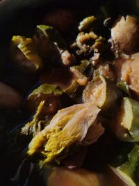 Miniature photo_fev_25_2487