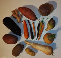 Miniature photo_fev_25_2443