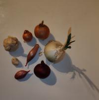 Miniature photo_fev_25_2440