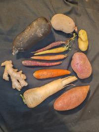 Miniature photo_fev_25_2427
