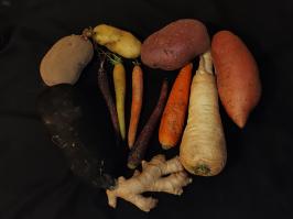 Miniature photo_fev_25_2420
