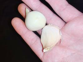 Miniature photo_fev_25_2329