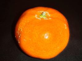 Miniature photo_fev_25_2326
