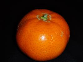 Miniature photo_fev_25_2325