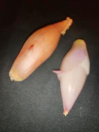 Miniature photo_fev_25_2316