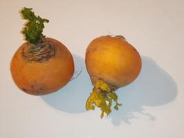 Miniature photo_fev_25_2224