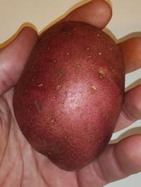 Miniature photo_fev_25_2186