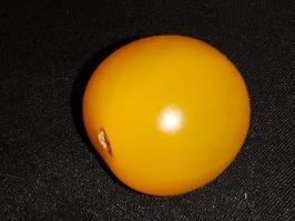 Miniature photo_fev_25_2068