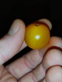 Miniature photo_fev_25_2060