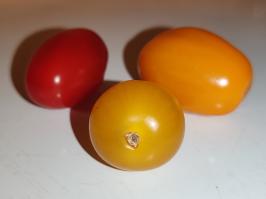Miniature photo_fev_25_2028