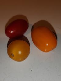 Miniature photo_fev_25_2024