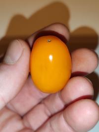 Miniature photo_fev_25_2015